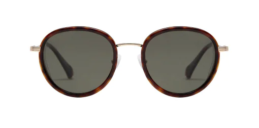 Okulary przeciwsłoneczne GIGI Studios 6560/2 BROWN