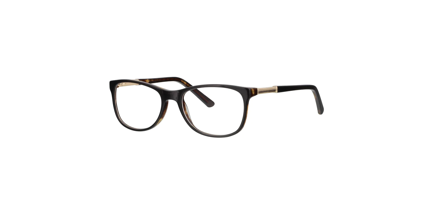 Oprawa okularowa PREMIUM VISION  4297AC1