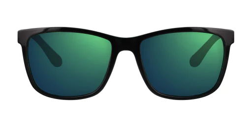 Okulary przeciwsłoneczne TONNY 9310C1