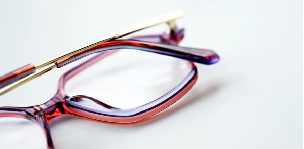 Oprawa okularowa TONNY 14028C2