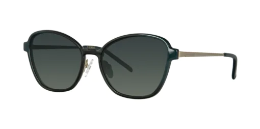 Nakładka przeciwsłoneczna CLIP-ON 0050C1