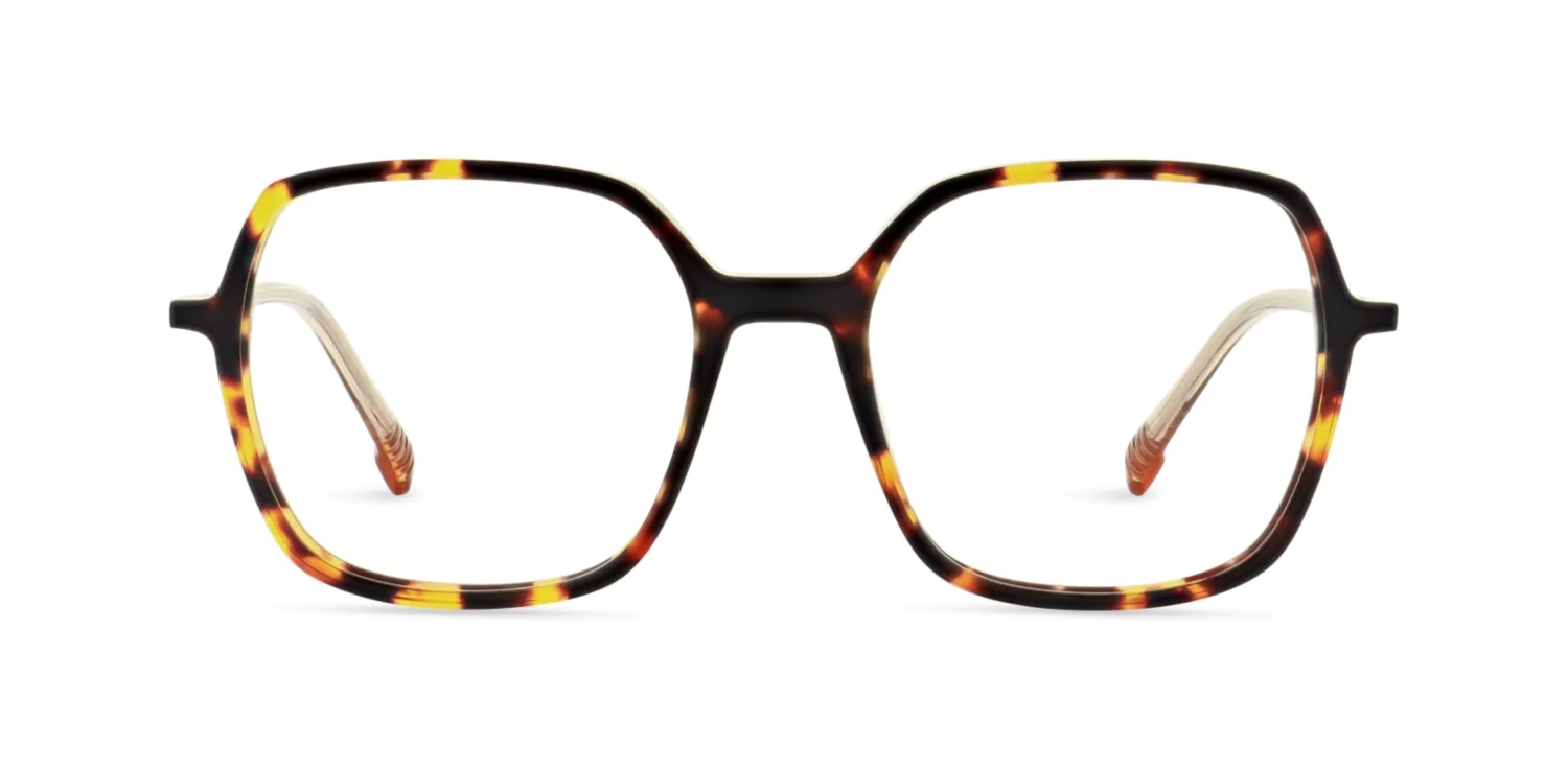 Oprawa okularowa MOREL 40334N POURPRE 1 TP02