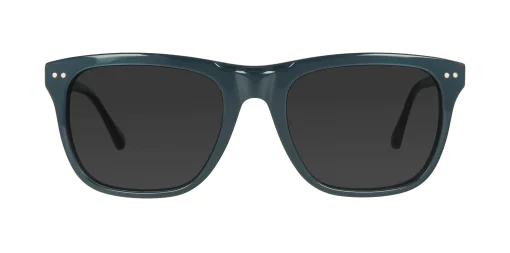 Okulary przeciwsłoneczne TONNY 44016C4-CL