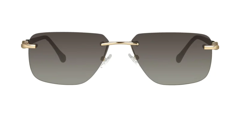 Okulary przeciwsłoneczne TONNY 44052C1