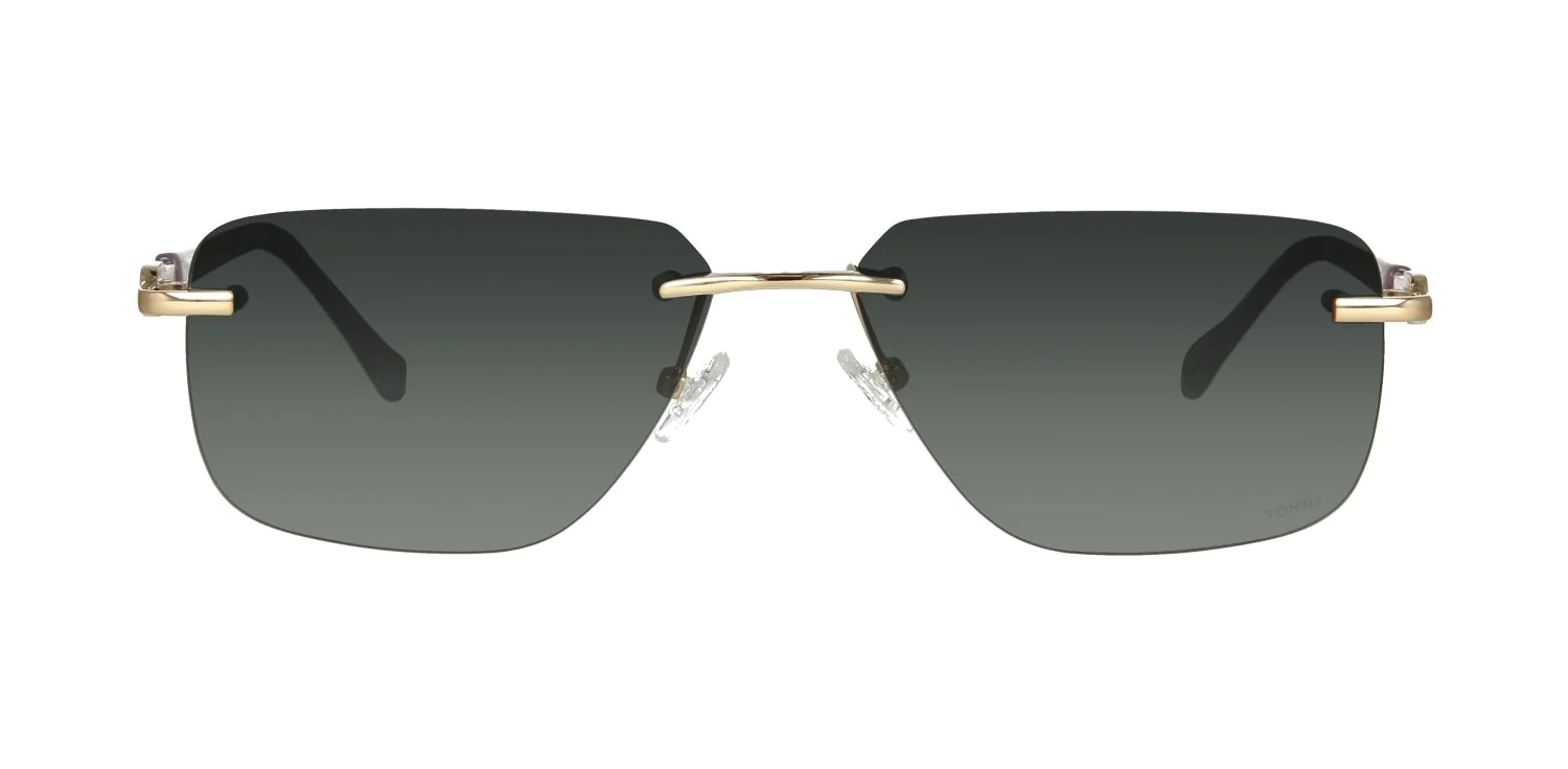 Okulary przeciwsłoneczne TONNY 44052C2