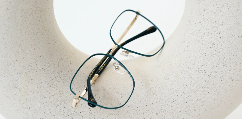 Oprawa okularowa TONNY 44044C4