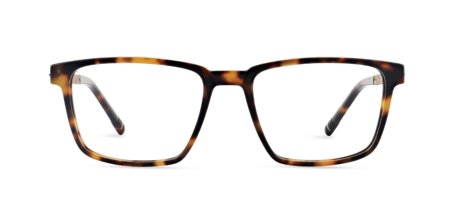 Oprawa okularowa MOREL 10263O SKARA 3 TN07