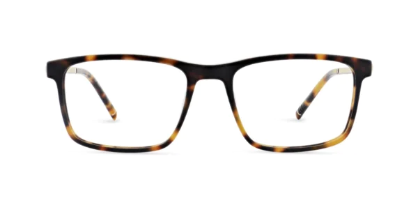 Oprawa okularowa MOREL 50216M MAHLER 2 TD06