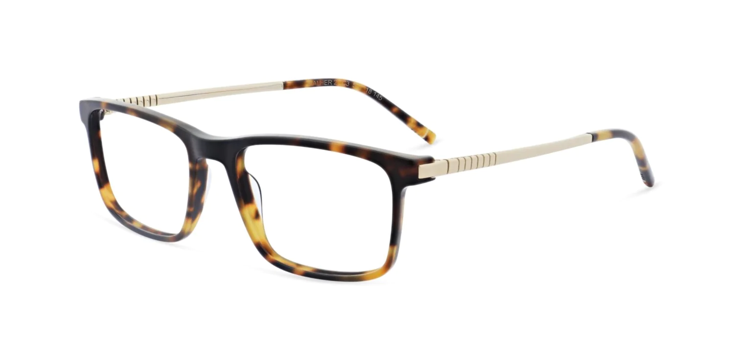 Oprawa okularowa MOREL 50216M MAHLER 2 TD06