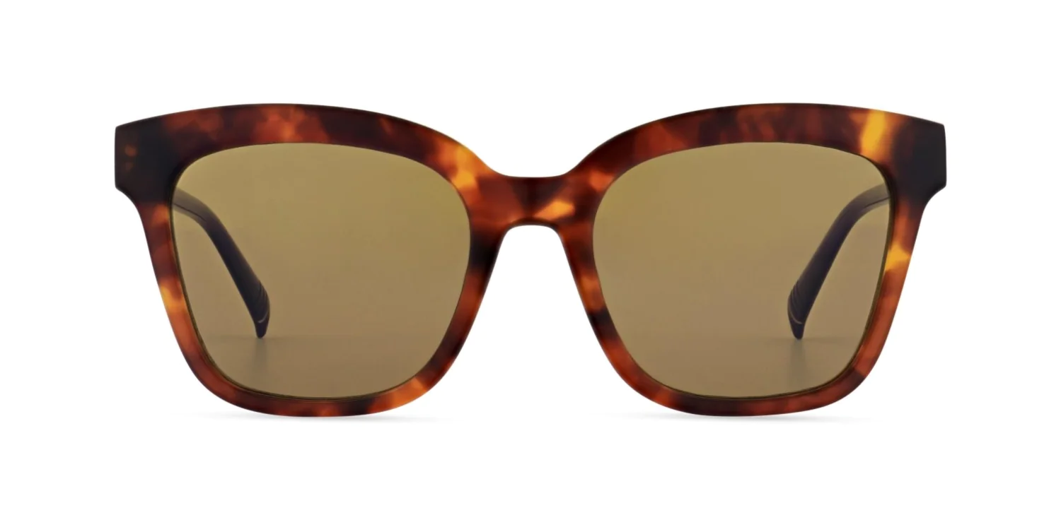 Okulary przeciwsłoneczne MOREL 80169A ZAFORA 1 TP03