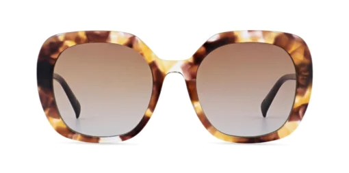 Okulary przeciwsłoneczne MOREL 80172A ZAFORA 4 TP11