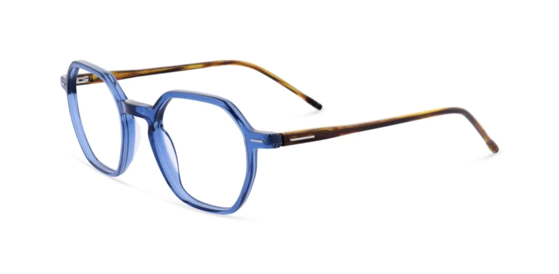 Oprawa okularowa MOREL 30464L LEAVITT 5 BT18