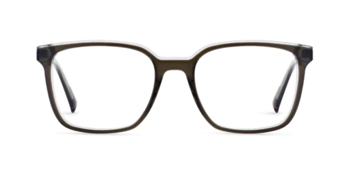 Oprawa okularowa MOREL 40374N SEPIA 5 GR14