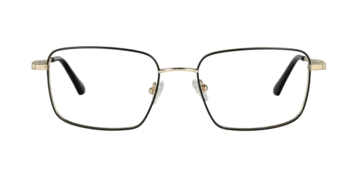 Oprawa okularowa TONNY Titanium 288C1