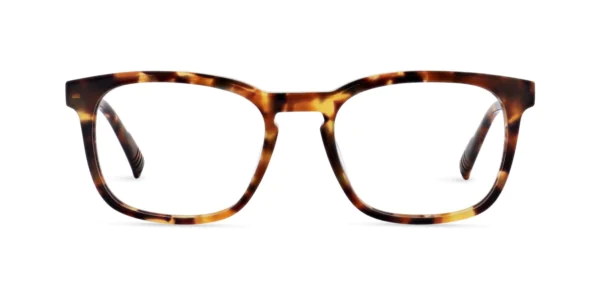 Oprawa okularowa MOREL 40309N SEPIA 3 TV09