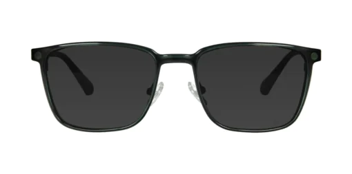 Nakładka przeciwsłoneczna TONNY 0173C1