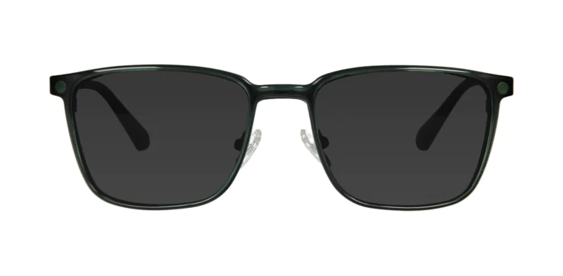 Nakładka przeciwsłoneczna TONNY 0173C1