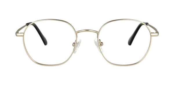 Oprawa okularowa TONNY Titanium 2109C3