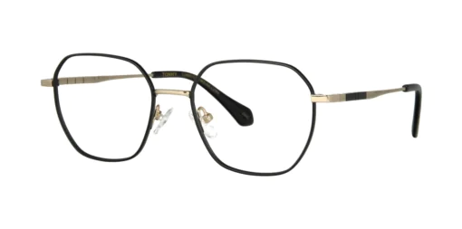 Oprawa okularowa TONNY Titanium 2111C2