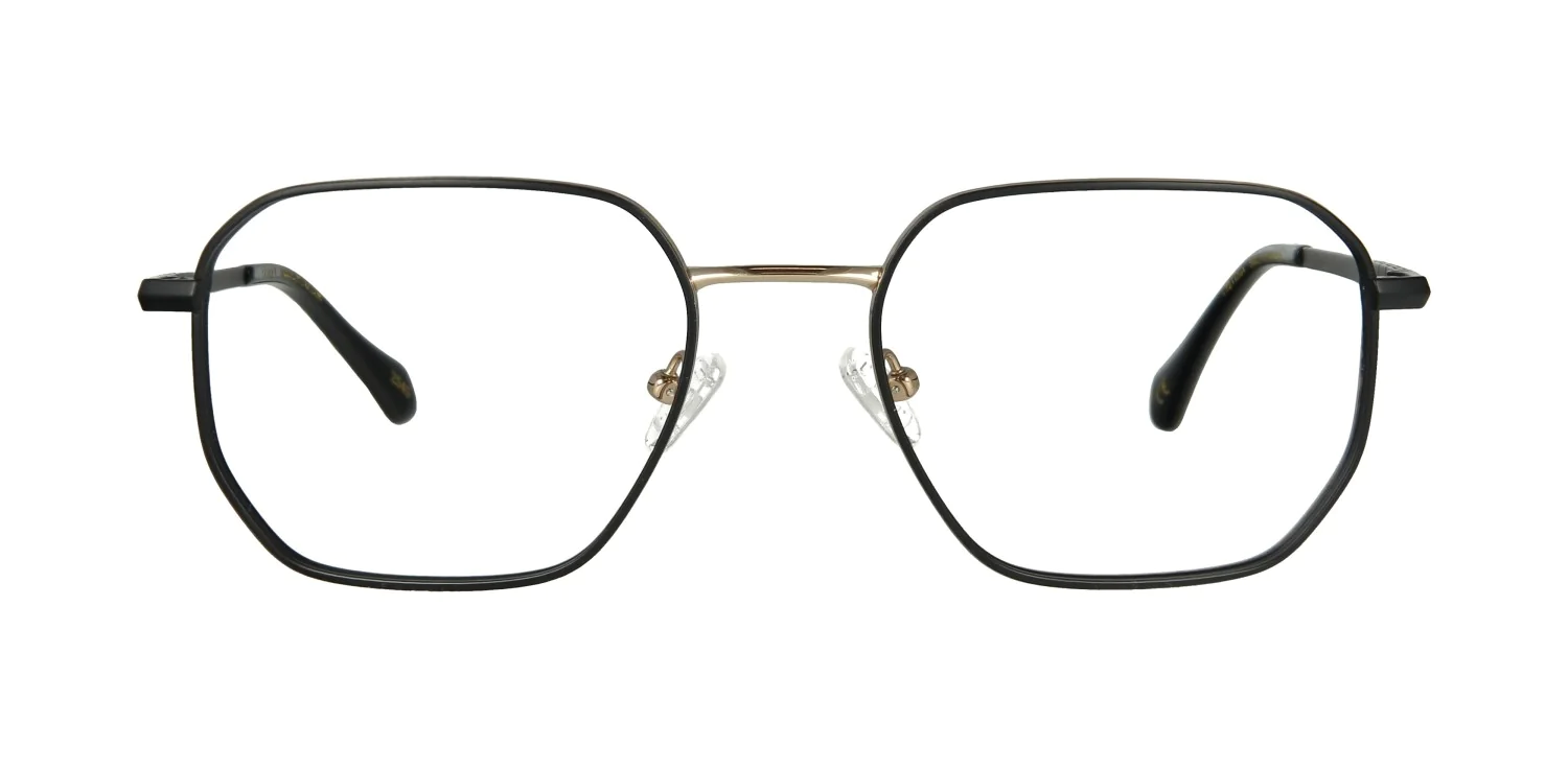 Oprawa okularowa TONNY Titanium 2113C1