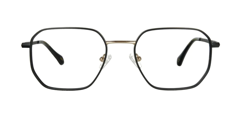 Oprawa okularowa TONNY Titanium 2113C1
