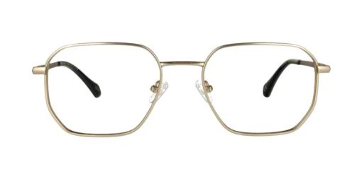 Oprawa okularowa TONNY Titanium 2113C3