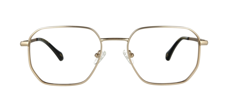 Oprawa okularowa TONNY Titanium 2113C3