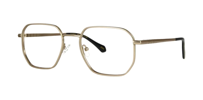 Oprawa okularowa TONNY Titanium 2113C3