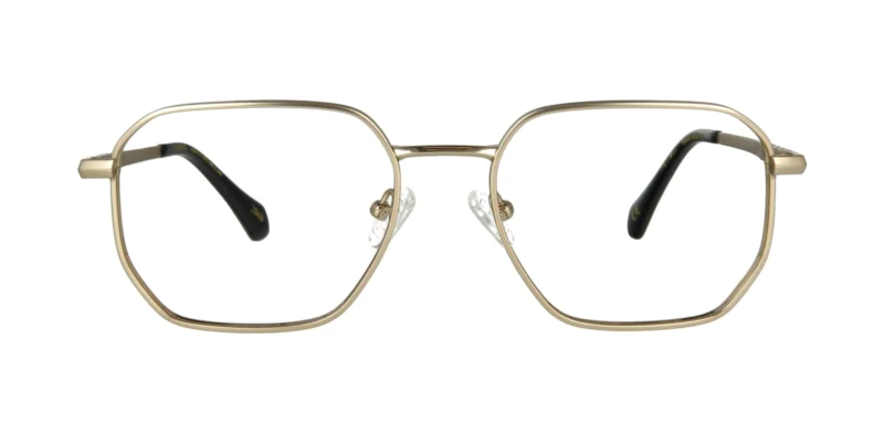 Oprawa okularowa TONNY Titanium 2113AC3