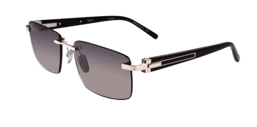 Okulary przeciwsłoneczne ZILLI 65133C03