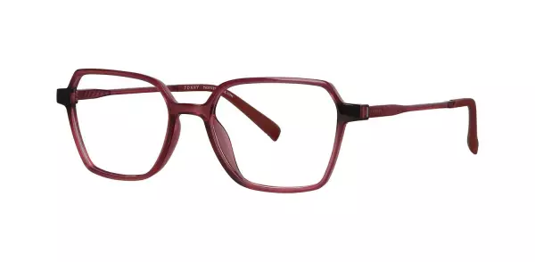 Oprawa z nakładką clip-on TONNY 0034C2